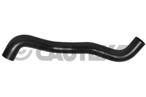 Durite radiateur renault - durite,