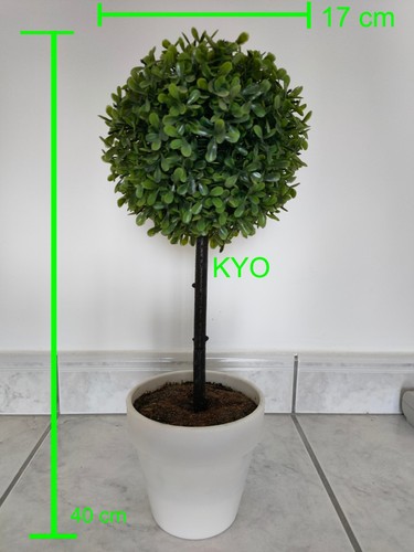 Arbre buis rond - ,, cm