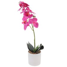 Bonsai Artificiel Composition