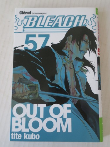 Bleach tome manga - bleach,
