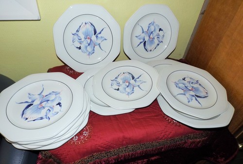 Lot assiette plate - lot, 12