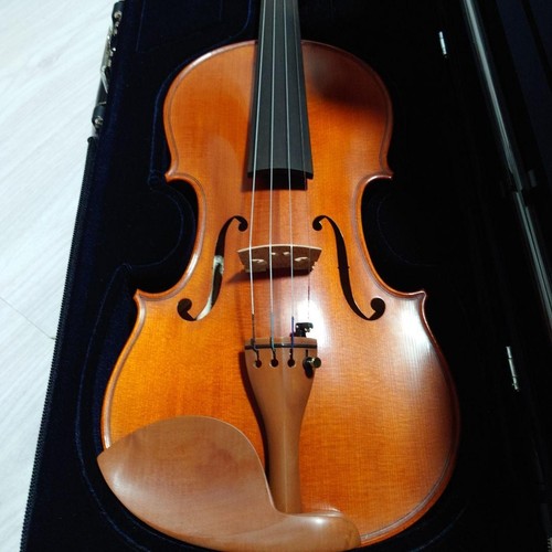 Yamaha v10 case - v10, 4/4