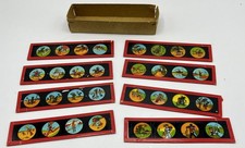 Lot 8 Plaques de verre Scènes humoristiques pour lanterne magique - Début 1900's