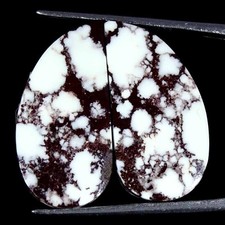 27.70Cts Naturel Sauvage