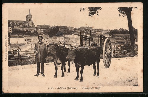 Cpa bazas attelage boeufs - de,