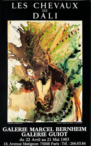 Salvador dali poster affiche - salvador,
