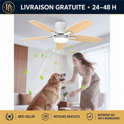 Ventilateur plafond airwit - ventilateur, de