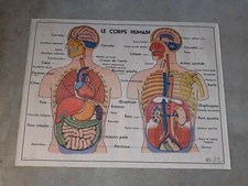 AFFICHE SCOLAIRE MDI N° 1-2