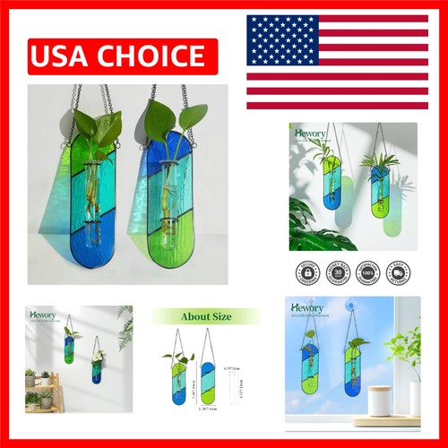 Indoor plant propagation - plant,