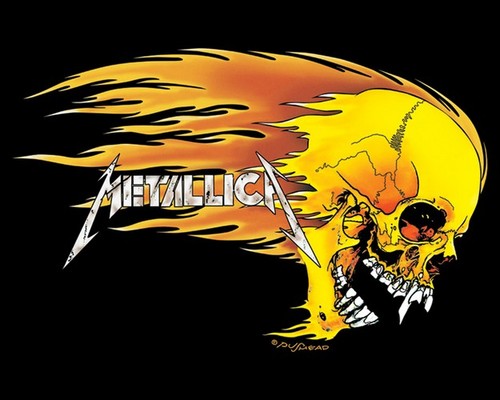 Metallica skull affiche - -,