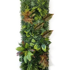 Mur végétal plantes - mur,