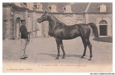 CAR-AFQP1-0004-61 - LE HARAS DU PIN - Tibere - Etalon de pur sang anglais