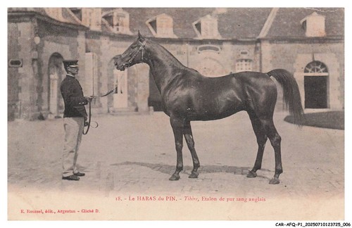 Car afqp1 0004 - -, haras