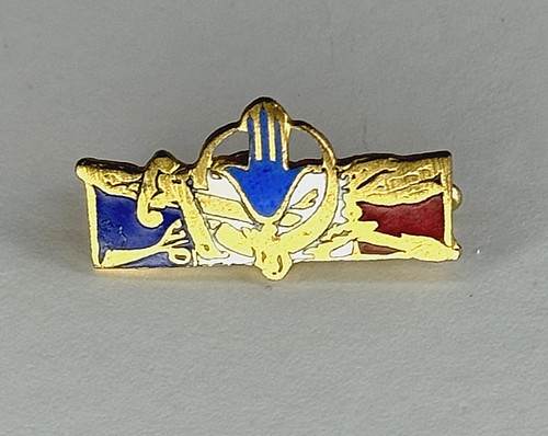 Insigne chéchia forces - insigne,