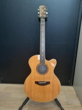 Guitare acoustique électrique