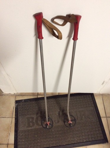 Paire batons ski hiverna - paire,