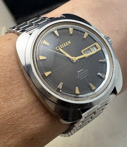 Montre citizen leopard high - citizen,