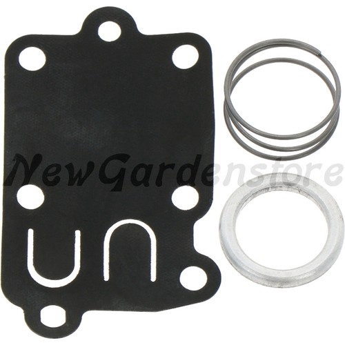 Set membrane carburateur - set, de