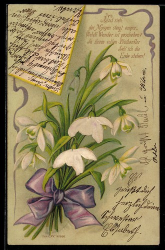 Carte postale gaufrée - , en
