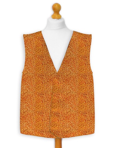 Gilet costume fantaisie à - gilet,
