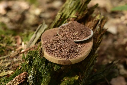 Mukanya kude acacia - mukanya,