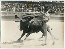 George Arles - Corrida - Domingo Ortega - Tirage argentique d'époque -  '