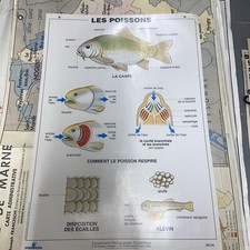 Ancienne carte scolaire Les