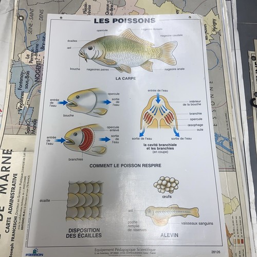 Ancienne carte scolaire les - carte,
