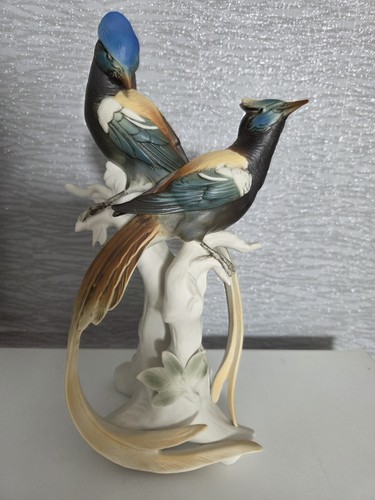 Couple oiseaux paradis - couple,