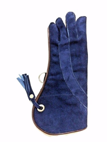 Eagle fauconnerie gant cuir - gant,
