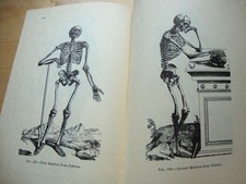 A SHORT HISTORY OF ANATOMY &