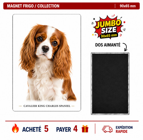 Magnet cavalier king - magnet, charles