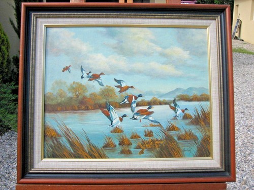 TABLEAU-CANARDS-DOMBES-CHASSE-