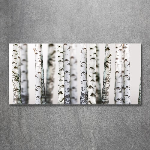 Tulup image sur verre - image,