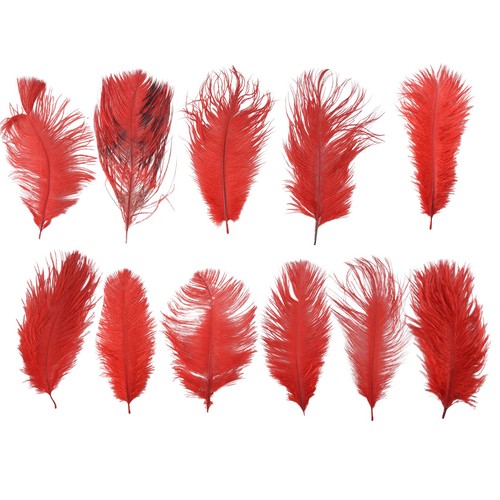 Pcs naturel plumes - 3x(10,
