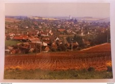 Villenauxe la Grande (Aube) - Vue Générale du Pays - CPSM GF