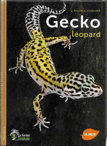 Gecko léopard keller - gecko,
