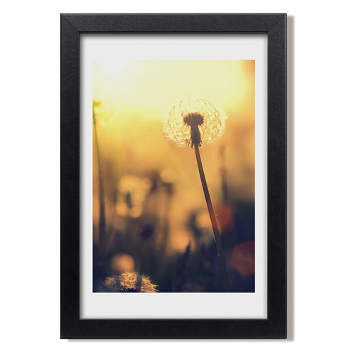 Tulup photo 20x30cm cadre - tulup,