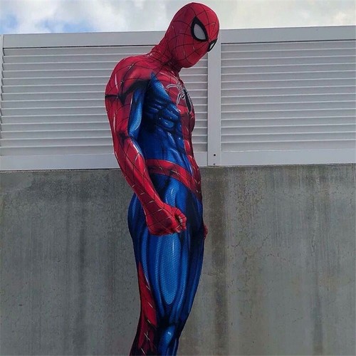 Spider man costume - spider-man, cosplay
