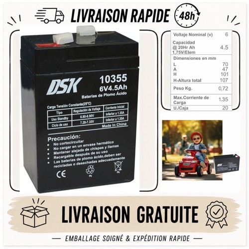Dsk batterie agm plomb - dsk,