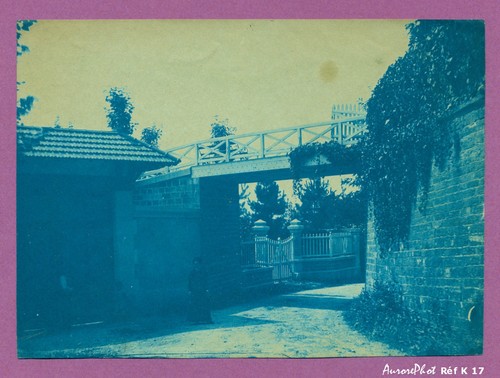 Cyanotype lyon environs - lyon,