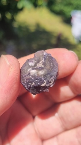 Fluorite psm fossil - psm,