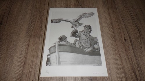 Planche dessin pierre joubert - planche,