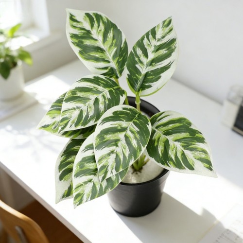 Plante bonsaï artificielle - , 15
