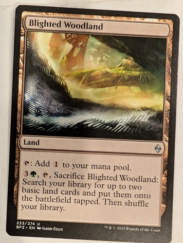 Blighted woodland battle for - woodland,