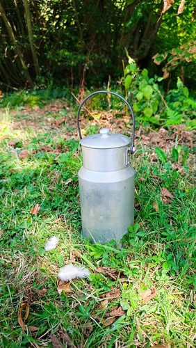 Pot lait ancien - pot, à