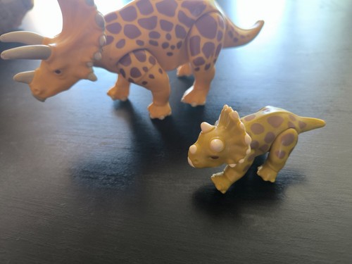Tyrannosaure playmobil 2007 - playmobil,