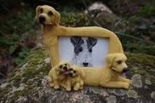 NA0621  CADRE  PHOTO    FIGURINE  STATUETTE CHIEN  LABRADOR