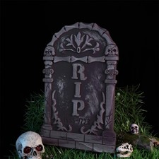  Squelette Humain Taille