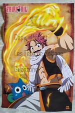 FAIRY TAIL POSTER MANGA  Hiro Mashima KODANSHA TOKYO 60 x 40 cm 